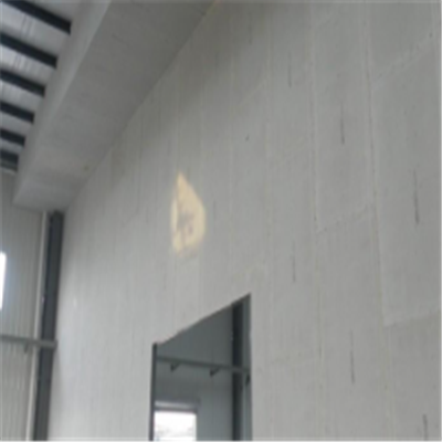 宁明宁波ALC板|EPS加气板隔墙与混凝土整浇联接的实验研讨